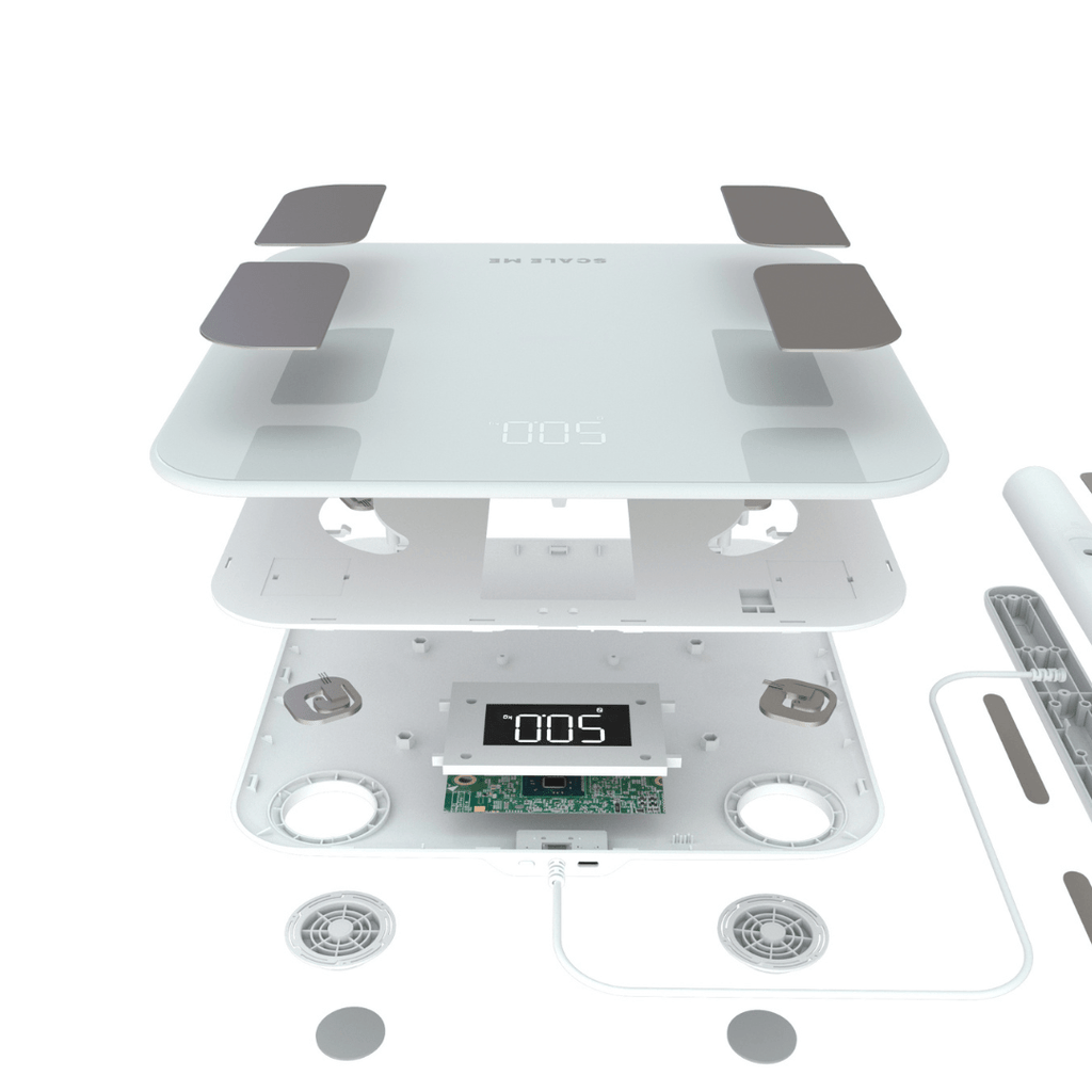File To Smart Scale Advanced Smart Scale - SCALEME™ – Scale Me